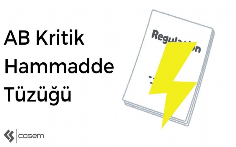 Kritik Hammaddeler Tüzüğü-Stratejik Projeler