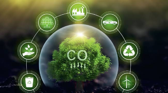 SINIRDA  KARBON DÜZENLEME MEKANİZMASI PORTALININ KULLANIMI HK.