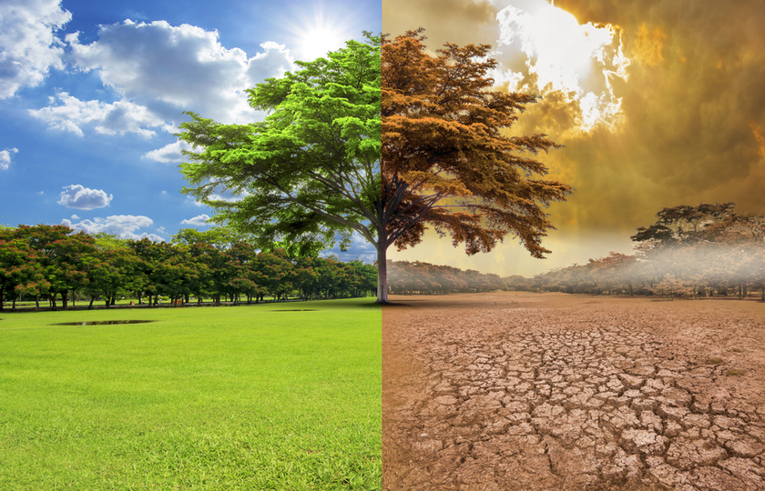 SANAYİNİN YEŞİL ROTASI HAKKINDA ÇEVRİMİÇİ TOPLANTI DÜZENLENMİŞTİR.